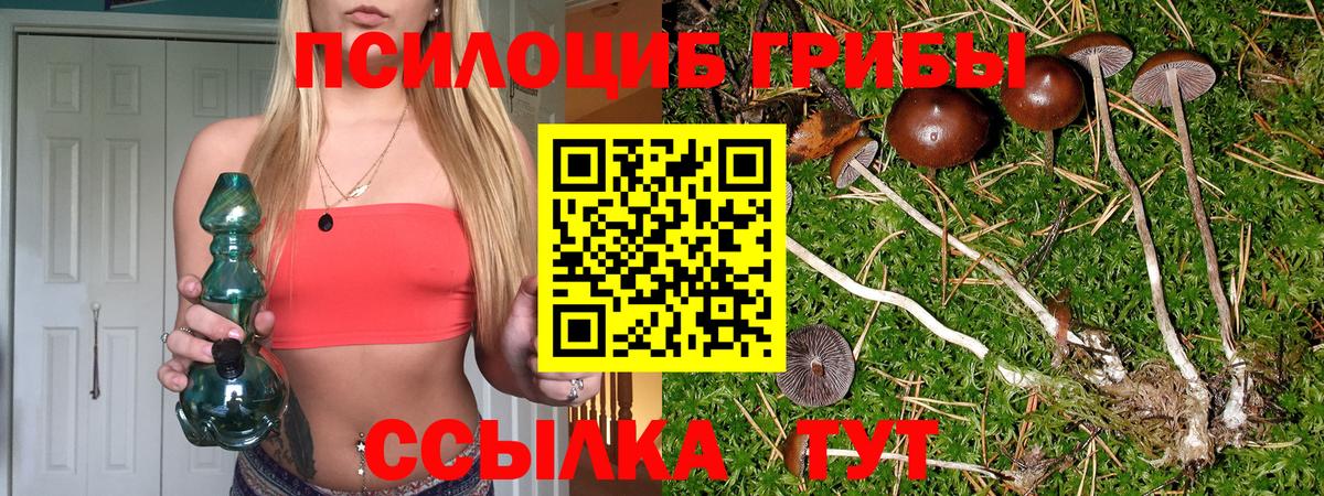 Галлюциногенные грибы прущие грибы Нягань